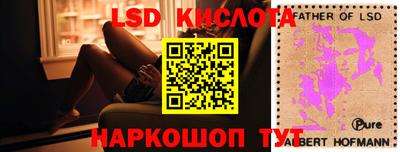 индика Будённовск