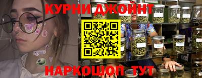 индика Будённовск