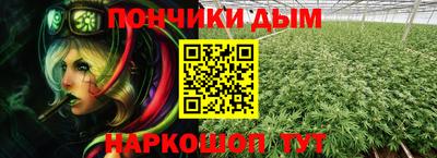 индика Будённовск