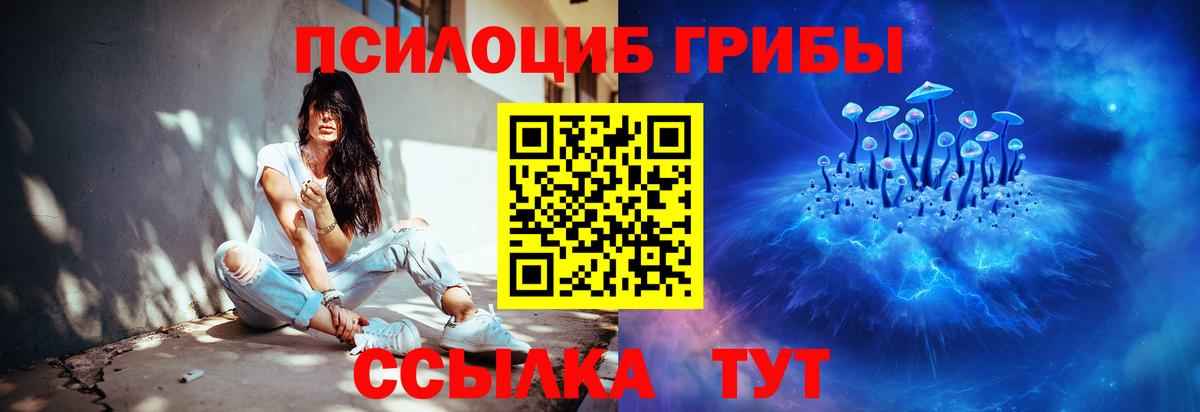 Псилоцибиновые грибы Psilocybe Чистополь